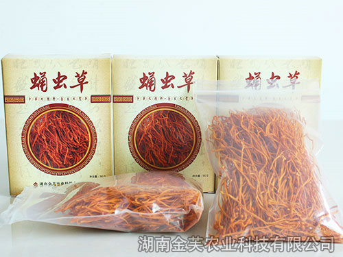 蛹蟲(chóng)草子實(shí)體干品