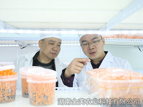 衡陽縣領導蒞臨指導工作